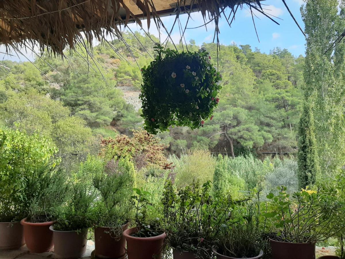 Blue Cottage Apsiou المظهر الخارجي الصورة